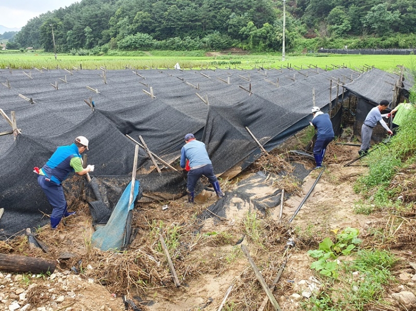 금산군의회 수해복구1_0