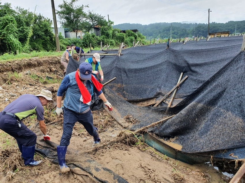 금산군의회 수해복구1_3