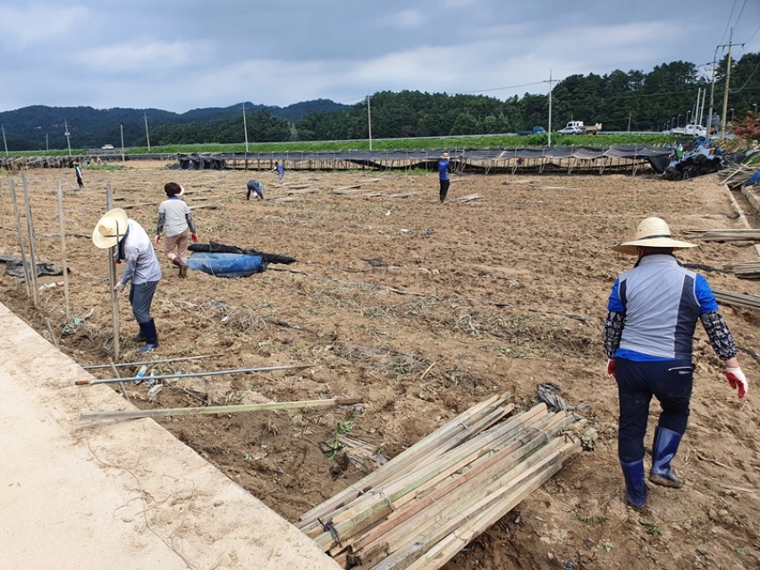 금산군의회 수해복구3_3