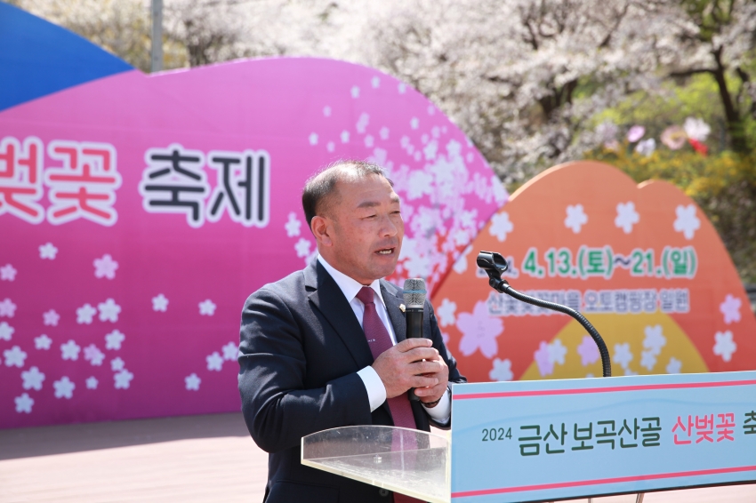 금산보곡산골 산벚꽃 축제_0