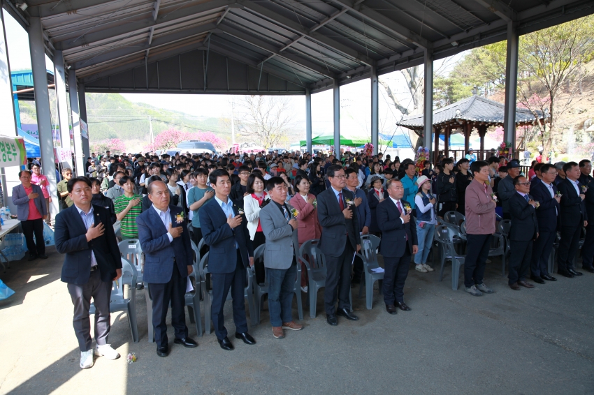 제14회 남일면 홍도화축제_1