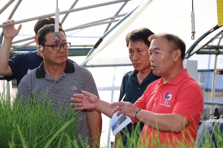 새벽 영농현장 방문 (군묵면)_0