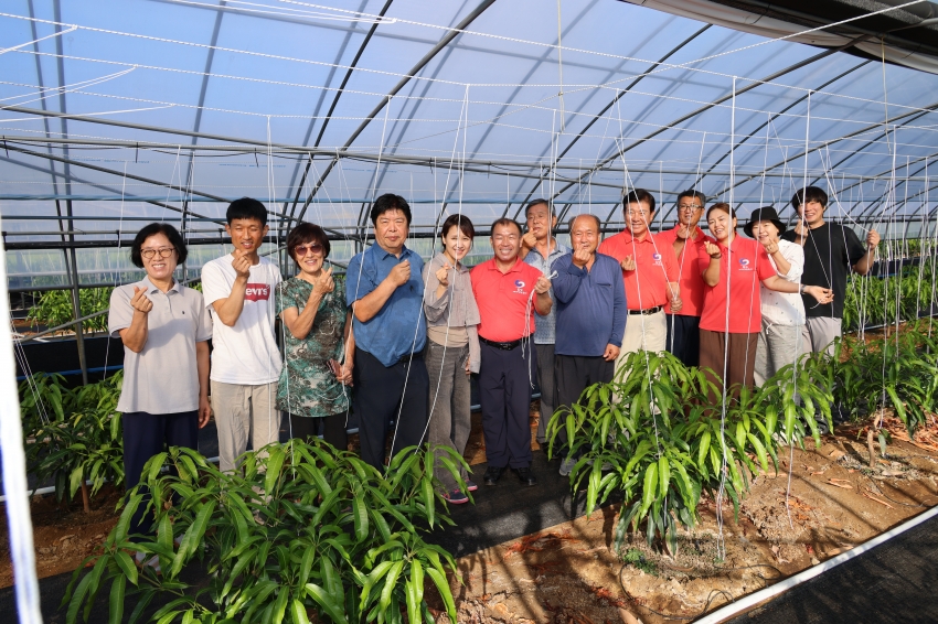 새벽 영농현장 방문 (군묵면)_1