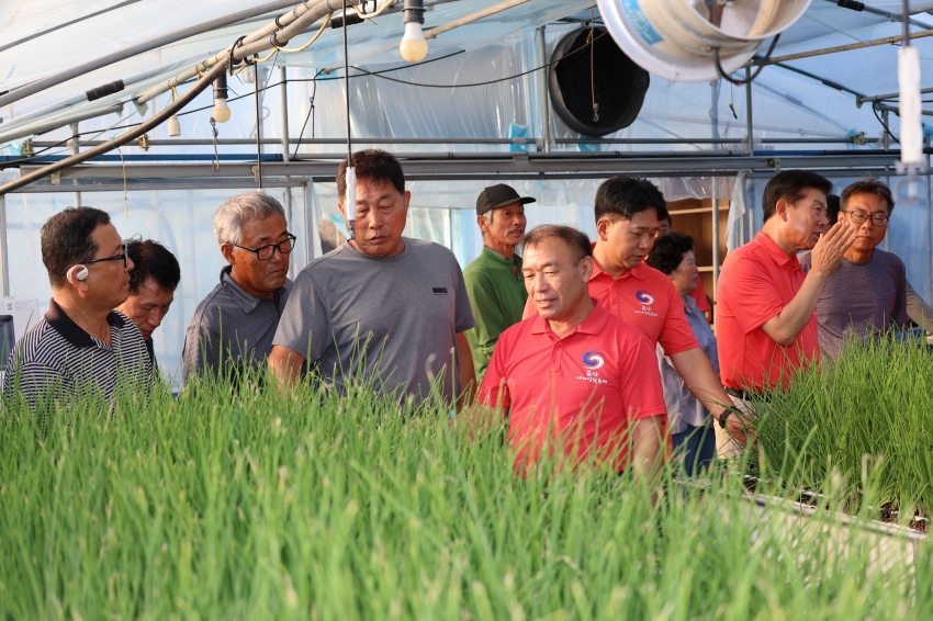 새벽 영농현장 방문 (군묵면)_2
