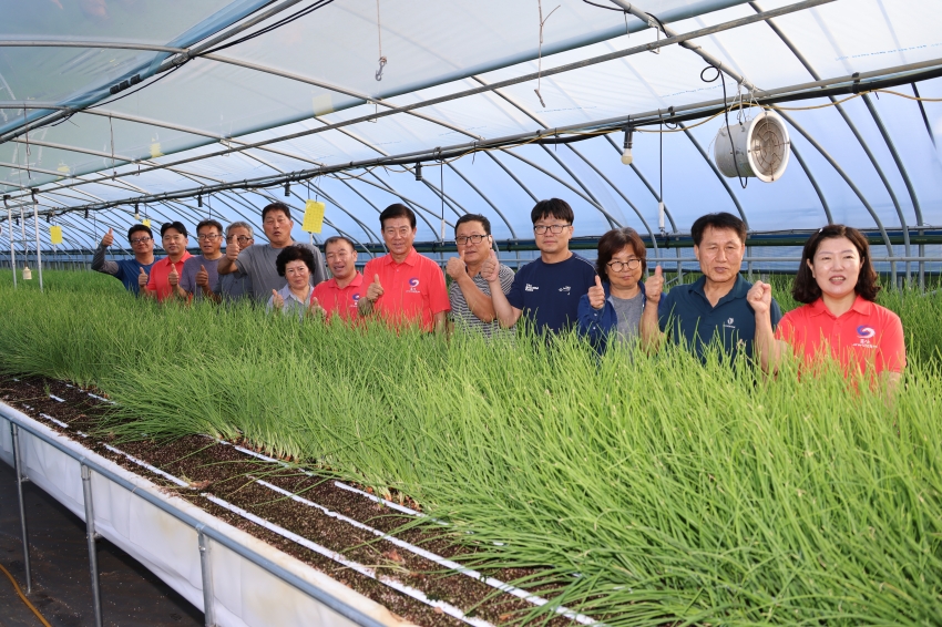 새벽 영농현장 방문 (군묵면)_3