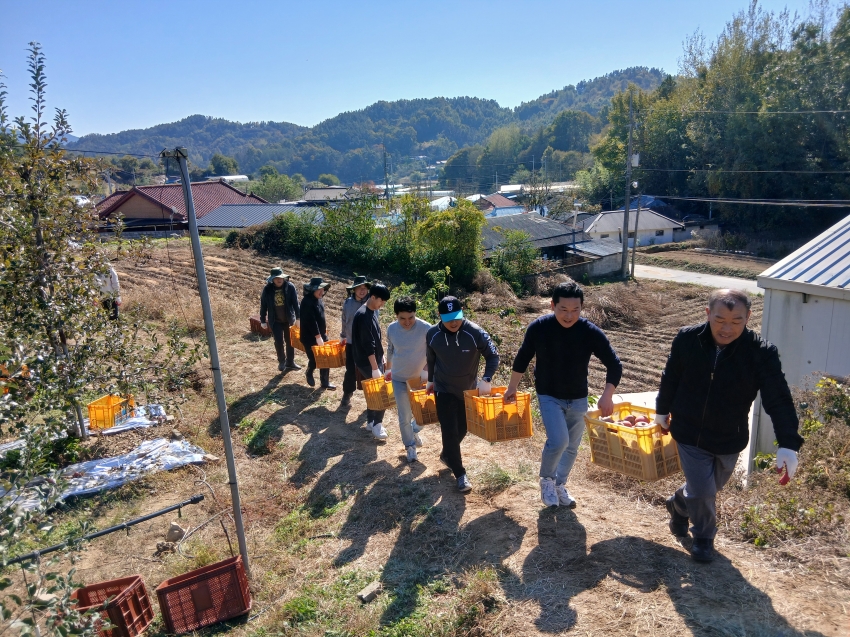 가을철 농촌 일손돕기_1