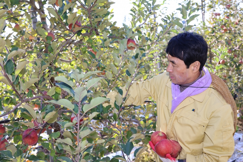 가을철 농촌 일손돕기_6