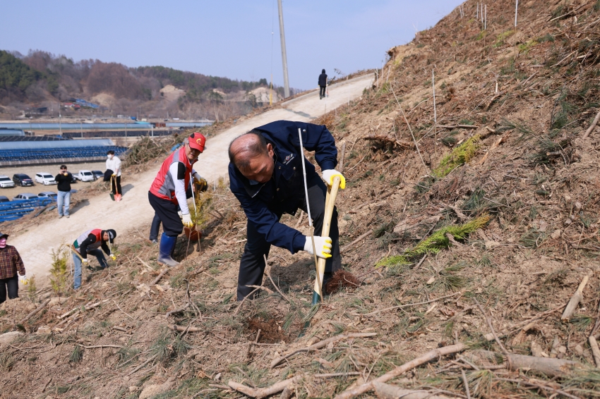 제81회 식목일 기념 나무심기 행사_1
